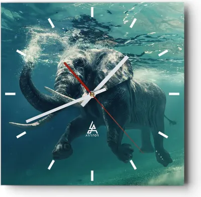 Produktbild von Wanduhr - Quadrat - Glasuhr - Elefant Tier Wasser - 40x40cm - Schleichendes Uhrwerk - Lautlos - zum Aufhängen bereit - Dekoration Modern - Wanddekoration aus Glas - C3AC40x40-3944