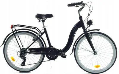 Zdjęcie produktu dla Rower Dallas Składak 24" 6 spd - czarny Łabądź