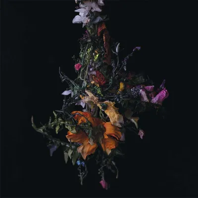Image de Nature Morte