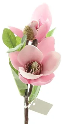 Produktbild von DPI Magnolienzweig Pink mit 1 Blüte und 2 Knospen 36 cm - Kunstblumen