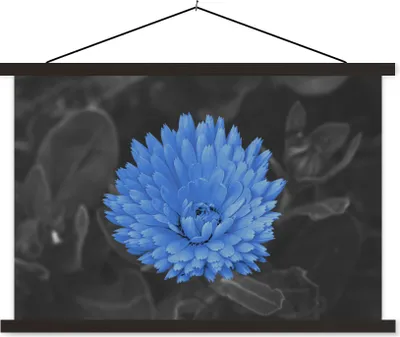 Produktbild von MuchoWow® Textilposter Blumen - Schwarz - Weiß - Blau 150x100 cm mit schwarzem Rahmen - Schlafzimmer