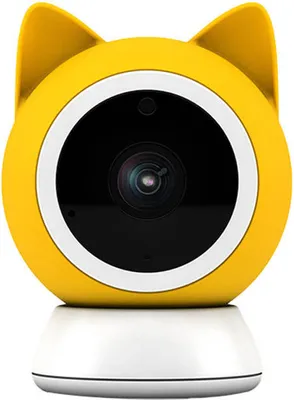 Immagine prodotto di Telecamera intelligente Petoneer