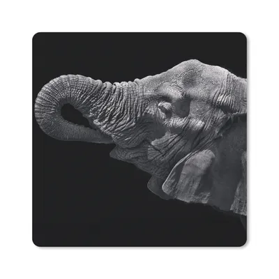 Produktbild von MuchoWow® Mauspad Mousepad Elefant - Tiere - Schwarz - Natur 20x20 cm - Mousepads - Maus Mat - Pad - Mausunterlage - Desk Mat - Bureauartikeln