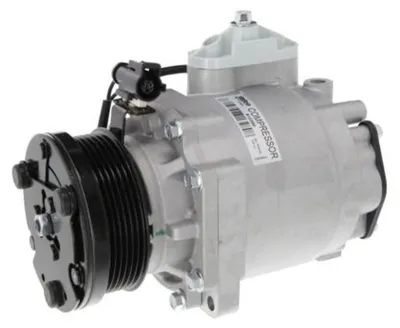 Produktbild von VALEO 813280 Klimaanlage Klimakompressor PAG 46 R134a für FORD TRANSIT CONNECT (P65, P70, P80) Tourneo Connect Mk1