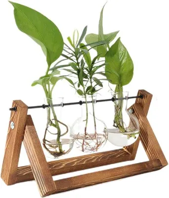 Produktbild von Hydrokultivier-Set mit Holzstand und Retro-Gläsern