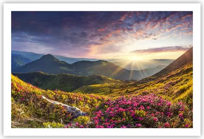 Produktbild von Poster - Poster ohne Rahmen - Gebirge Wiese Landschaft Wald - 91,5x61 cm - Wand Bild - Wanddeko - Wandbilder - Kunstposter - Wandposter - Bilder - Kunstdruck - Wandbild - P2XAA91x61-3152