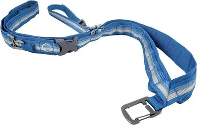 Produktbild von Hundeschlinge, verstellbar, blau, für Hundeausflüge