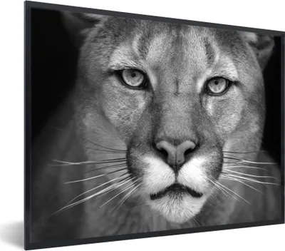 Produktbild von MuchoWow® Gerahmtes Poster Panther - Wildlife - Schwarz - Weiß 40x30 cm - Poster mit Schwarzem Bilderrahmen Wandposter Rahmen Foto Bilder - Kunstposter - Wanddekorationen