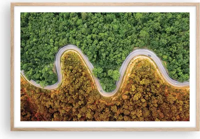 Produktbild von Gerahmtes Poster - Rahmen in heller Eiche - Luftaufnahmen Weg Wald - 91,5x61 cm - Wand Bild - Wanddeko - Wandbilder - Kunstposter - Wandposter - Bilderrahmen - Bilder - Kunstdruck - P2NAA91x61-4659
