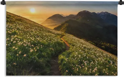 Produktbild von MuchoWow® Wandteppich Wandbehang Blumen - Sonne - Berge 90x60 cm Tapisserie Dekoration Wandtuch - Wandskulpturen - Bildteppich