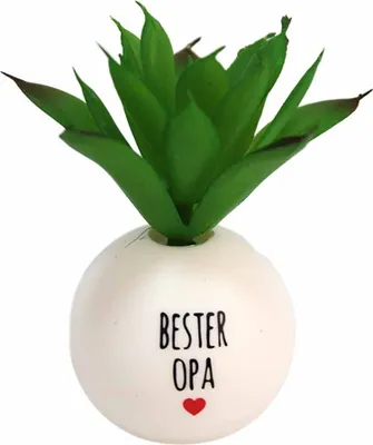 Produktbild von Mini Pflanze mit Topf Deko "Bester Opa" - ca. 8 cm