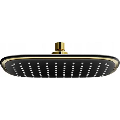 Image de D-49 Douche de tête 25x29 cm noir/doré (79749-75)