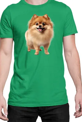 Immagine prodotto di Maglietta da uomo Dogs Breeds Pomeranian Dog Breed 005, Man S , Vert