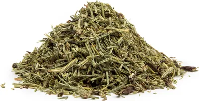 Produktbild von SCHACHTELHALM - KRAUT (Equisetum arvense) - Krautige Pflanze, 10g