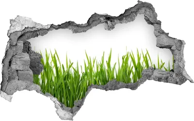 Produktbild von Selbstklebender Loch-3D-Aufkleber 95x73 cm Gras