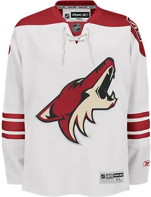 Produktbild von NHL Arizona Coyotes Eishockey Trikot Jersey weiß blank Premier XXL