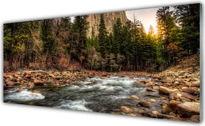 Produktbild von Glasbilder 125x50 Wandbild Druck auf Glas Wald See Natur