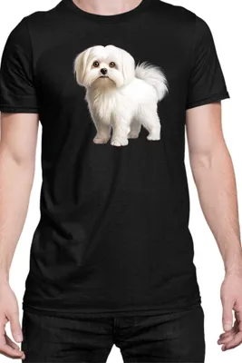 Produktbild von Herren T-Shirt Dogs Breeds Maltese Dog Breed 005, Man M / Schwarz