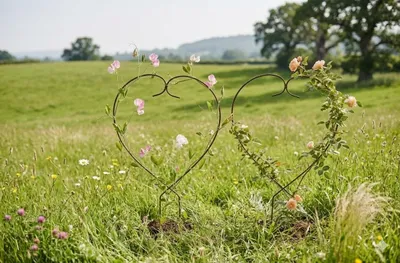 Produktbild von Verliebt in deinen Garten: Herz-Rankgitter im 2er-Set