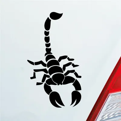Produktbild von Auto Aufkleber Skorpion Krebs Motorrad Sternzeichen 15x8,5 cm Schwarz Glanz Sticker Heckscheibenaufkleber