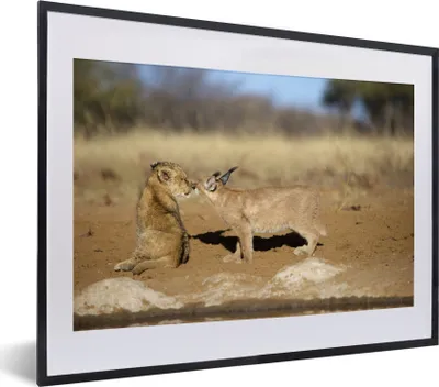 Produktbild von MuchoWow® MuchoWow® Gerahmtes Poster Löwe - Tiere - Afrika 40x30 cm - Poster mit zchwarzem Bilderrahmen - Bilderrahmen - Poster im Rahmen