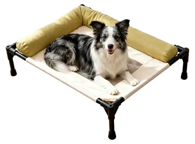 Immagine prodotto di Cuccia per cani da esterno, resistente e lavabile