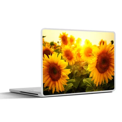 Produktbild von MuchoWow® Laptop Aufkleber Sticker Cover Sonnenblume - Gelb - Blumen - Sonne 36.5x27.5 cm - Laptop-Sticker