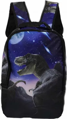 Produktbild von Rucksack Dinosaurier, T Rex + Brontosaurus, 42x28x12 cm, Tier Tiere Urzeittiere Eyecatcher Rucksäcke Tasche Taschen Dinos