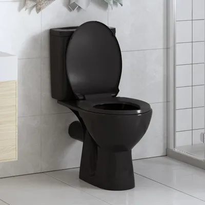 A black toilet in a bathroom setting with tiled walls and floor.