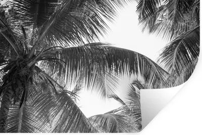 Produktbild von MuchoWow® Wandtattoo Wandsticker Wandaufkleber Palmwedel - Vintage - Natur 120x80 cm Selbstklebend und Repositionierbar - Selbstklebend - Fototapeten