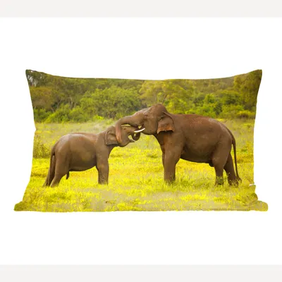 Produktbild von MuchoWow® Zierkissen Sofakissen Wohnzimmer Dekokissen 50x30 cm Elefant - Gras - Tiere - Grün - Wohnzimmerdekoration - Polster mit Photo