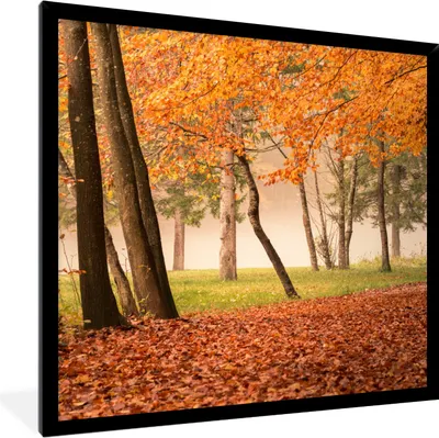 Produktbild von MuchoWow® Gerahmtes Poster Blätter - Herbst - Wald 40x40 cm - Poster mit Schwarzem Bilderrahmen Wandposter Rahmen Foto Bilder - Mit Rahmen - Wanddekoration Schlafzimmer