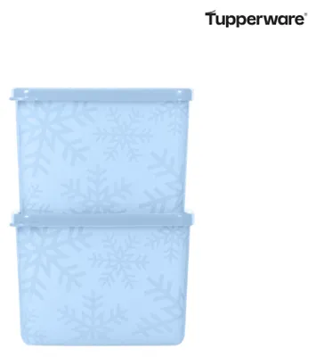 Produktbild von Tupperware Gefrier-Behälter 800 ml (2)