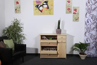 Produktbild von Schuhschrank aus Kiefer Massivholz natur mit 4 Auszügen, 2 Schubladen und Türfach 80x90x40 cm