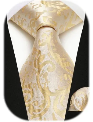 Image de Ensemble cravate et mouchoir de poche pour hommes, motif paisley, couleur unie, beige, taille unique