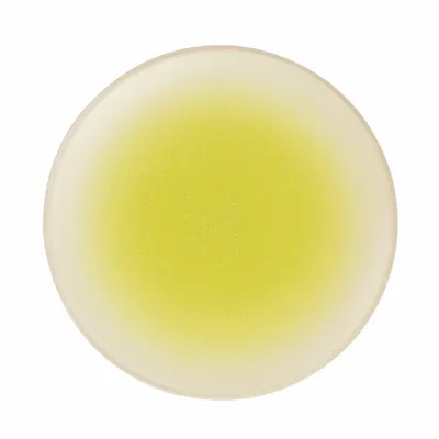 Immagine prodotto di ASA Selection Dessertteller Koi Ø 19 cm