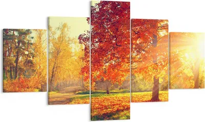 Produktbild von Bild auf Leinwand - Leinwandbild - Park Herbst Baum - 125x70cm - Wand Bild - Wanddeko - Wandbilder - Leinwanddruck - Bilder - Kunstdruck - Wanddekoration - Leinwand bilder - Wandkunst - EA125x70-3654