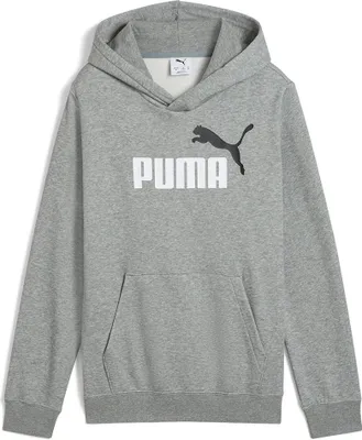 Produktbild von Puma ESS 2 COLOR No. 1 Logo Hoodie FL B - grau, Größe:164