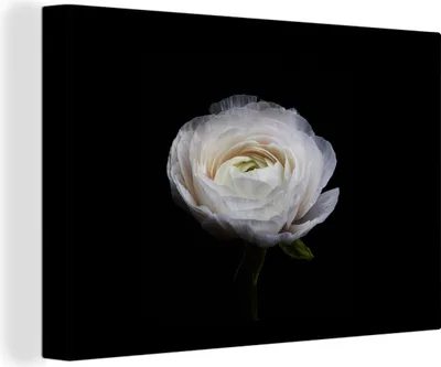Zdjęcie produktu dla OneMillionCanvasses® - Obraz na płótnie - Obraz na płótnie Obraz ścienny na płótnie - Kwiat - czarny - biały - 150x100cm - Fotografia na płótnie -