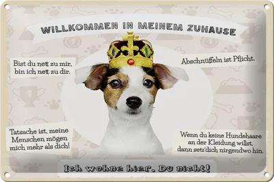 Produktbild von Blechschild Spruch 30x20cm Tiere Hund willkommen wohne hier