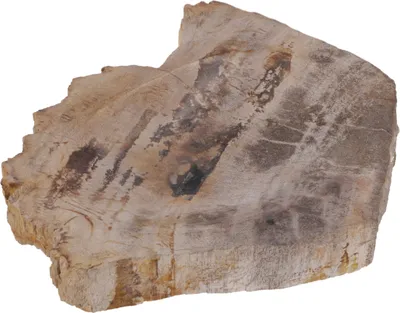Produktbild von Exotische Seifenschale aus Versteinertem Holz, Braun, 2,5*11*8,5 cm, Seifenschalen