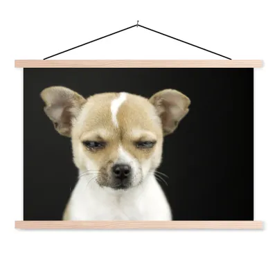 Produktbild von MuchoWow® Textilposter Hund - Haustiere - Porträt 60x40 cm mit holzfarbenen Rahmen - Bilder
