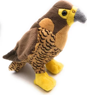 A stuffed toy falcon is shown against a white background.