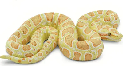 Produktbild von Safari Ltd Albino Burmese Python Yellow / Orange From 3 years
