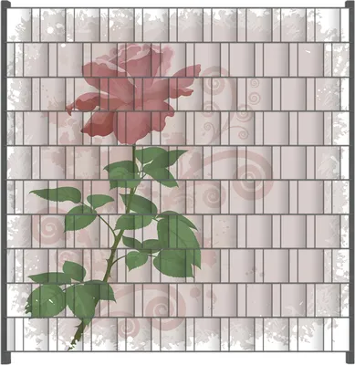 Produktbild von Wallario Zaunsichtschutz mit Motiv Rose in Pastellfarben gezeichnet für Ein- und Doppelstabmatten Zäune in der Größe 200 x 200 cm