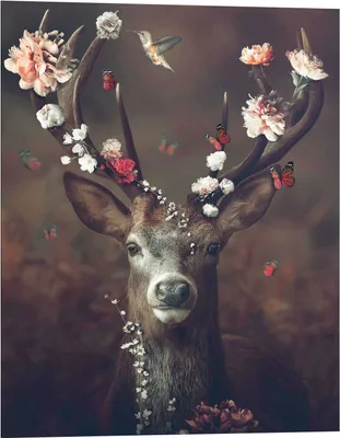 Produktbild von Wandbild - Braun - Rot - Rosa- 40 x 50 cm - Fauna Flora Deer