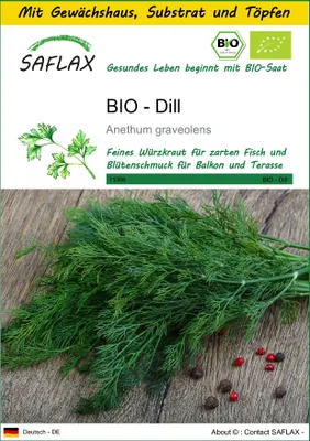 Produktbild von SAFLAX Anzucht Set - BIO - Dill - Anethum graveolens - 700 Samen - Mit Mini-Gewächshaus, Anzuchtsubstrat und 2 Töpfen