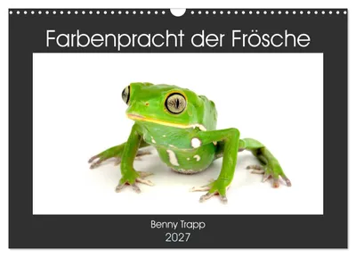 Produktbild von Farbenpracht der Frösche (Wandkalender 2027 DIN A3 quer), CALVENDO Monatskalender
