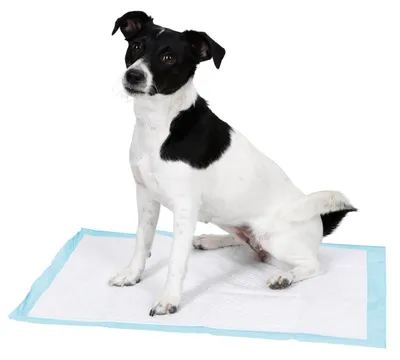 Produktbild von Kerbl Trainingspad 60x45cm für Welpentoilette; 81991