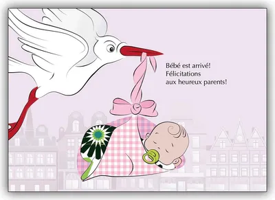 Produktbild von Französische Babykarte (Mädchen) mit Storch und Baby Girl